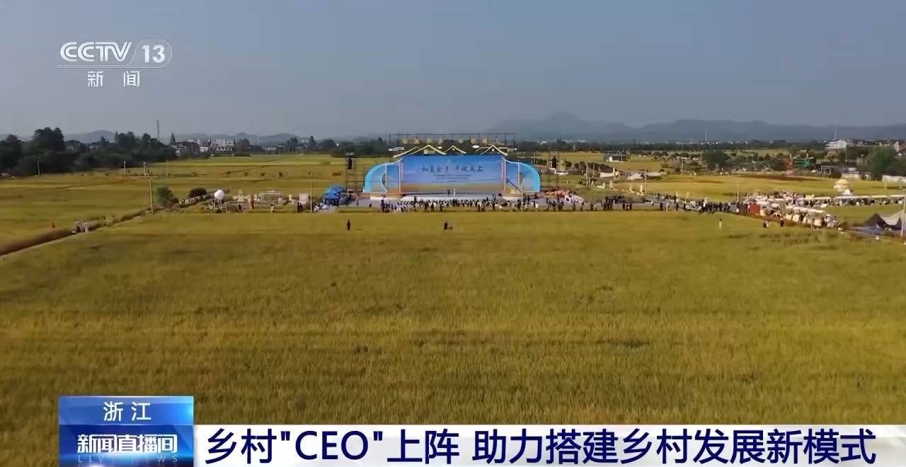 “CEO”竞争上岗 浙江这些乡村成为“流量担当”                