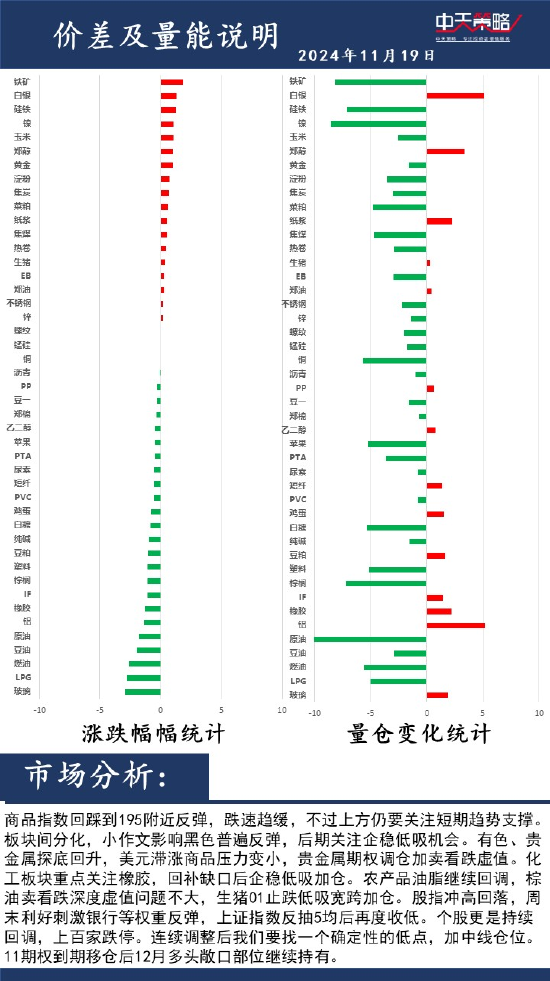 中天策略:11月20日市场分析