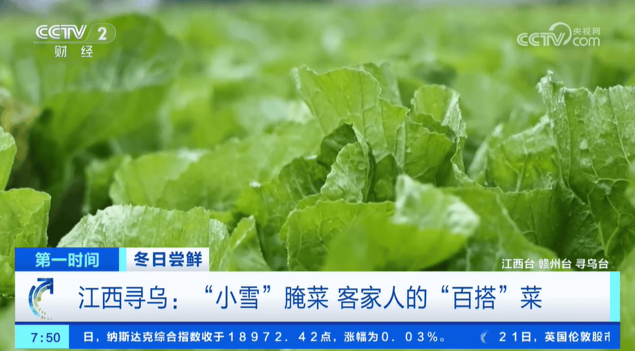 小雪节气 “菜篮子”也丰富 大棚蔬菜上市 冬笋、咸菜正当时                