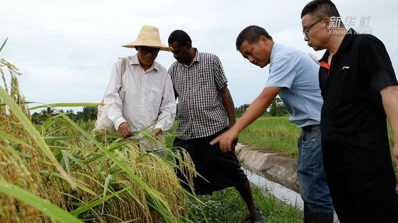 中国减贫经验助力世界抗击贫困                