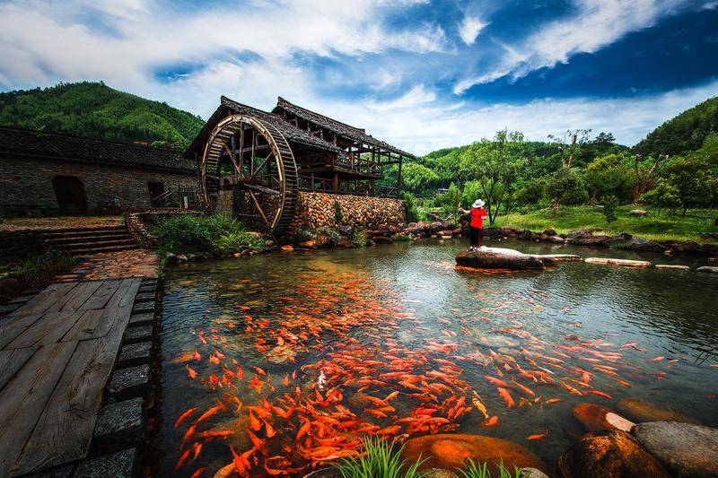 “最佳旅游乡村”之浙江溪头村：瓷光述千秋，竹影颂新韵                