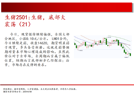 中天期货:螺纹震荡持续 棕榈再度探顶