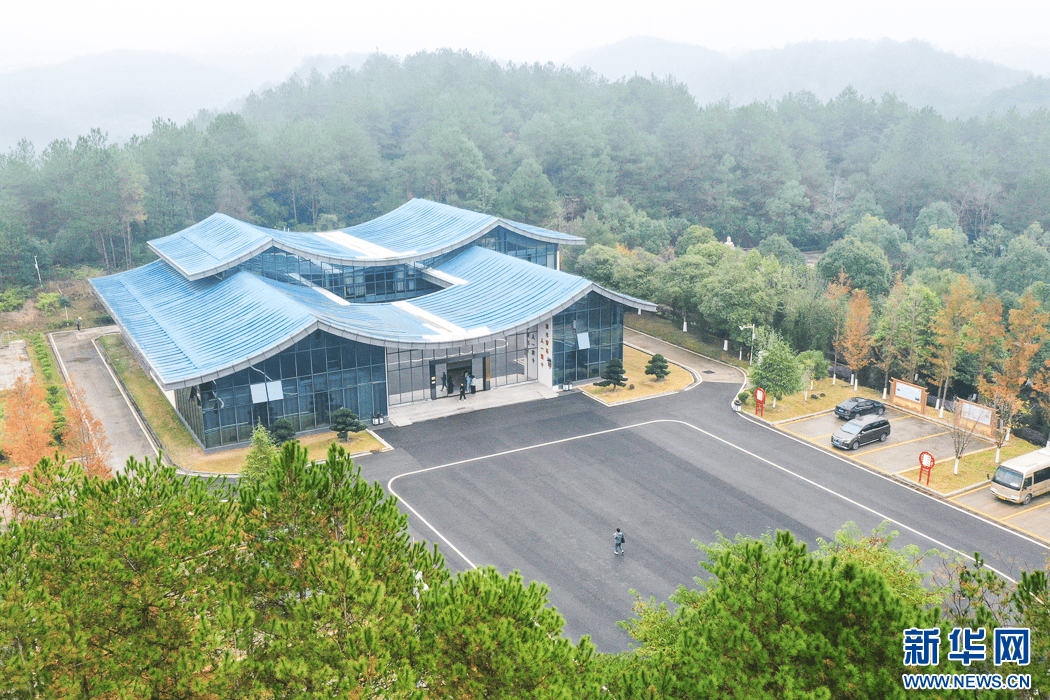 “飞阅”中国｜福建长汀：绿水青山带笑颜                