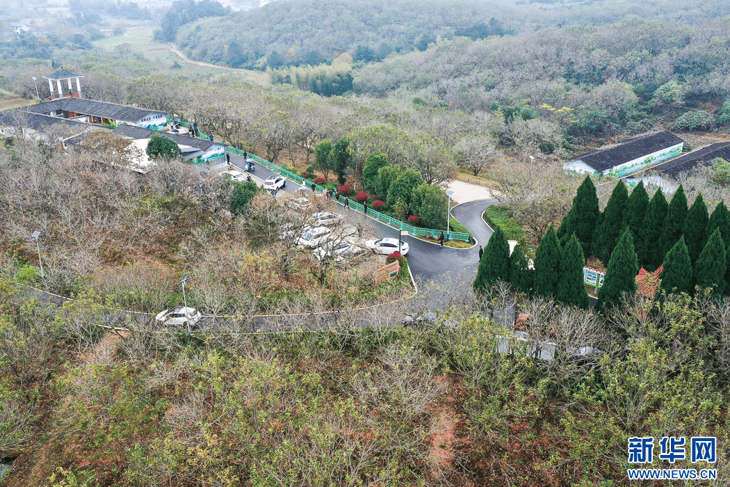 “飞阅”中国｜福建长汀：绿水青山带笑颜                