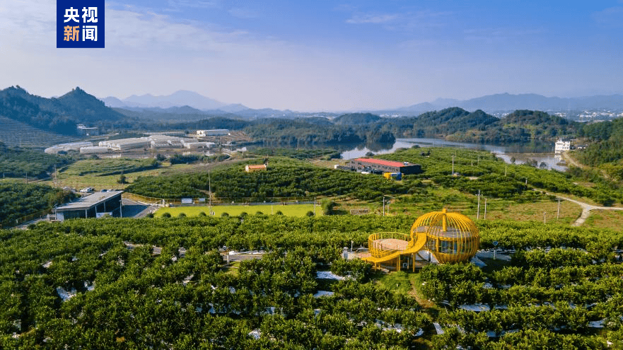 高质量发展调研行丨“山香野果”的“涅槃”重生                