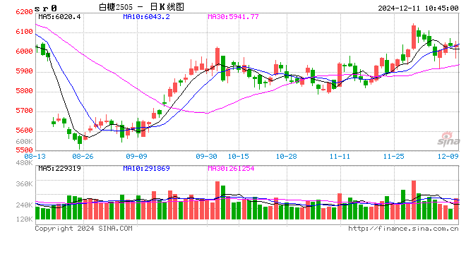 光大期货：12月11日软商品日报