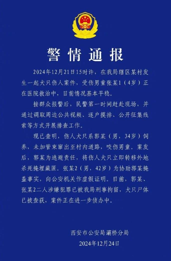 西安4岁男童遭恶犬撕咬，饲养人杀狗藏匿，另一人作假证！专家：量刑时加重处罚！                